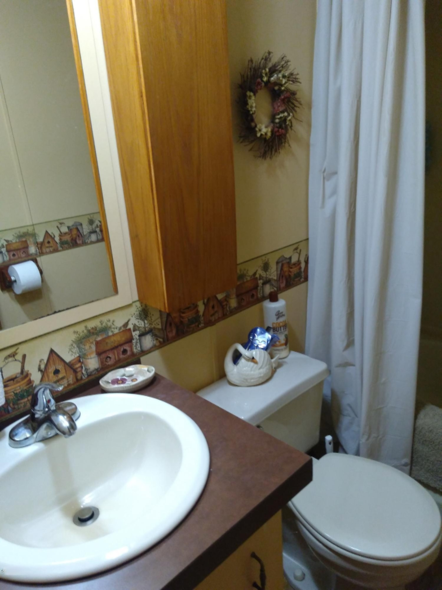 5532 Morrison Lake Road Saranac, MI 48881 - Photo 10 of 32 2018-06-10 11.17.08