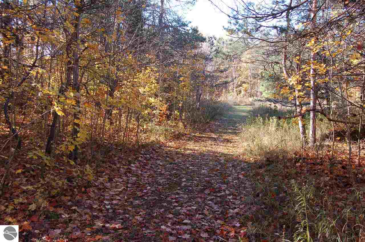0 North Dundas Rd Rapid Alden, MI 49612 - Photo 12 of 12
