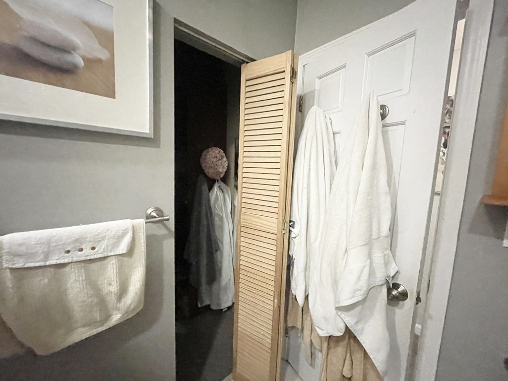 9 Mt Pleasant Avenue, Unit 3 Boston, MA 02119 - Photo 18 of 19 a bathroom with a bathtub