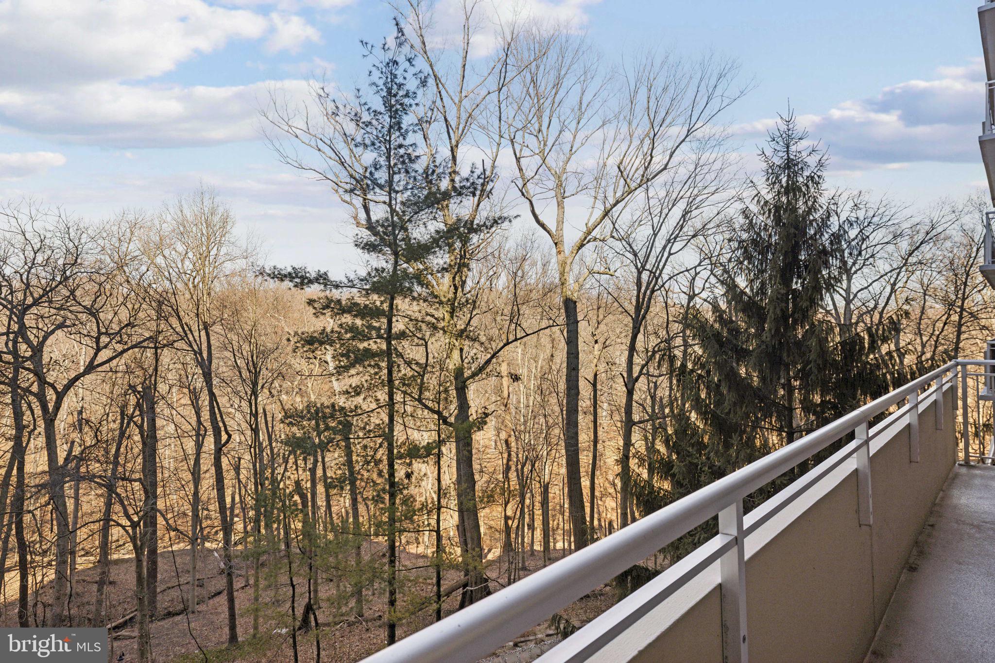 3001 Veazey Street Northwest, Unit 116 Washington, DC 20008 - Photo 29 of 40 a view of mountain view with trees