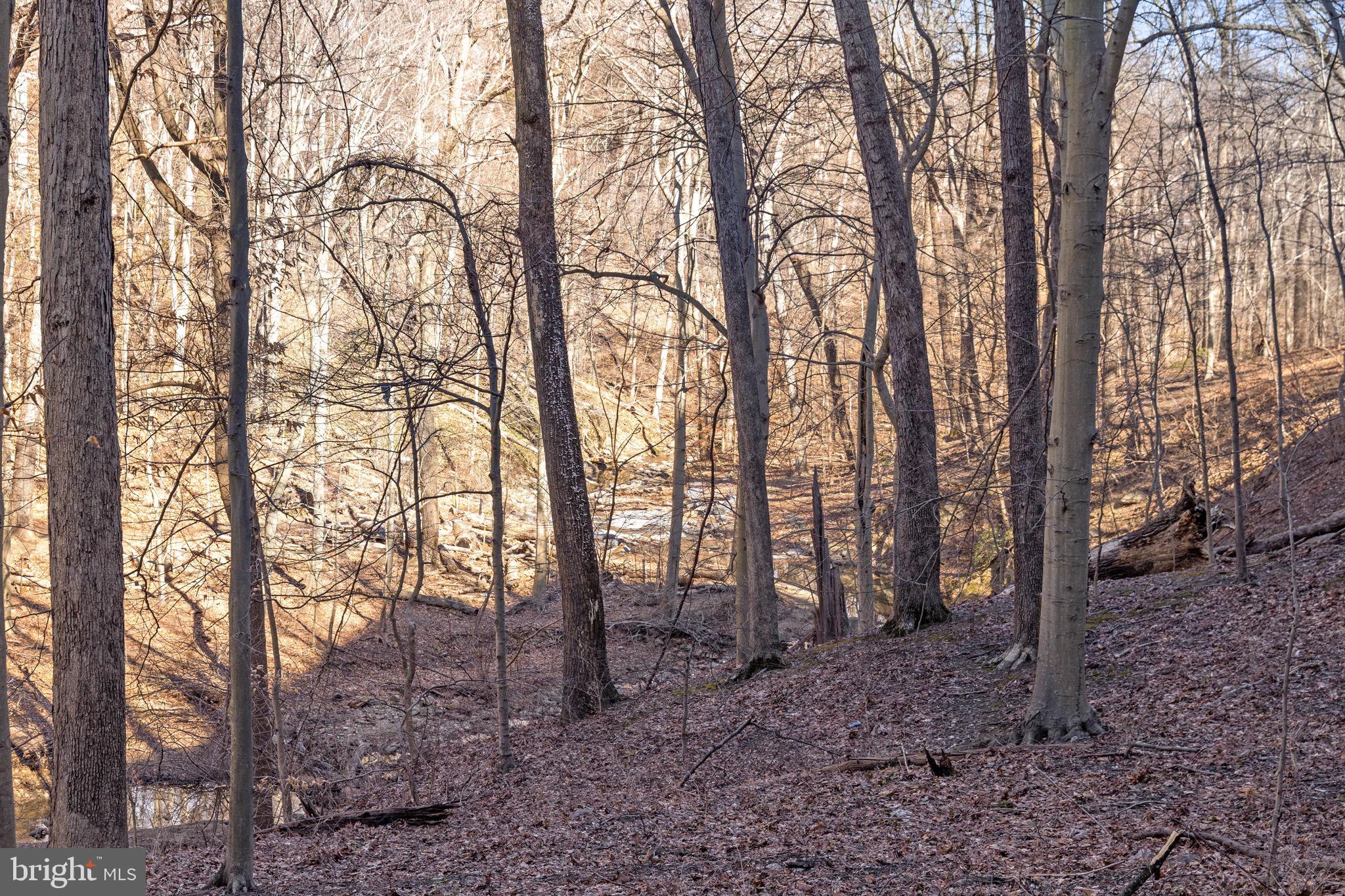 3001 Veazey Street Northwest, Unit 116 Washington, DC 20008 - Photo 30 of 40 a view of outdoor space