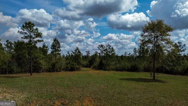 $128,700 | 3 Harrell Road, Parrott, GA 39877