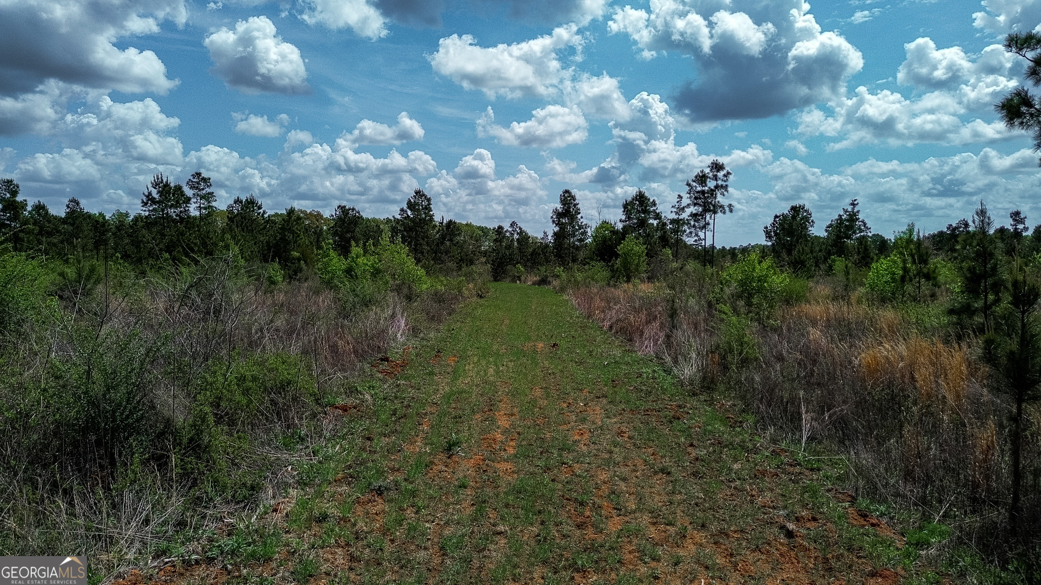 3 Harrell Road Parrott, GA 39877 - Photo 12 of 15