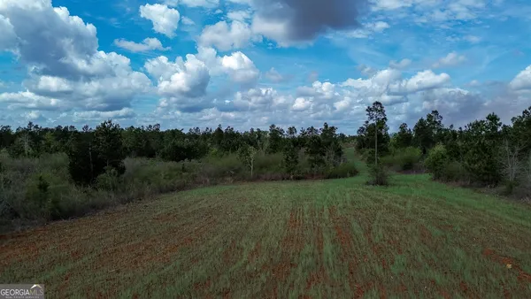 a view of a big yard with lots of green space