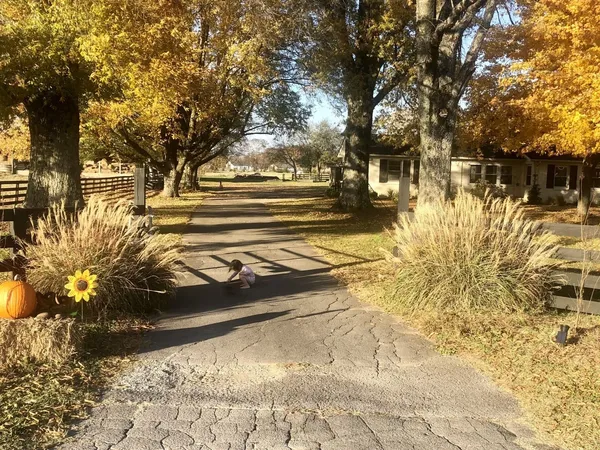 a view of yard along with trees