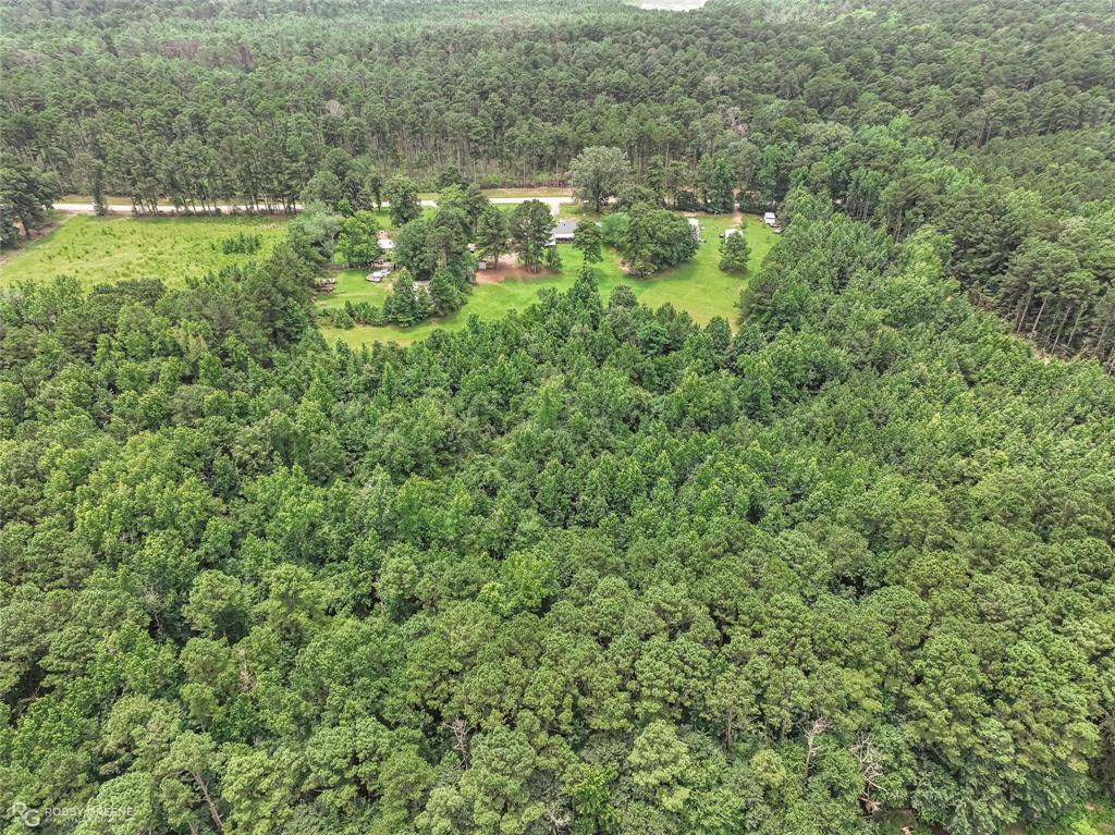1426 Caney Lake Road Minden, LA 71055 - Photo 30 of 36 Expansive wooded acreage featuring mature trees and a cleared building site