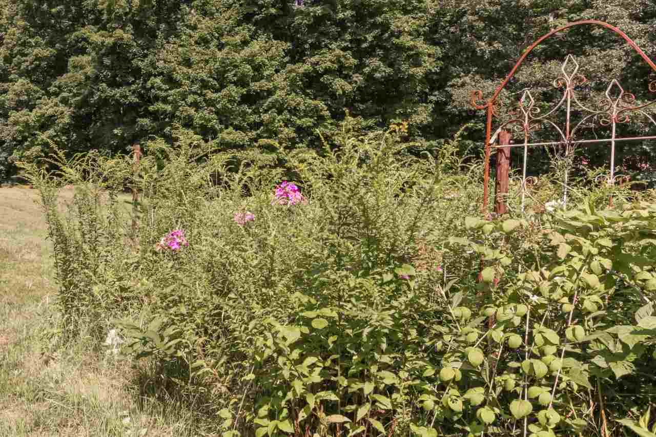 248 North River Road Lee, NH 03861 - Photo 27 of 40