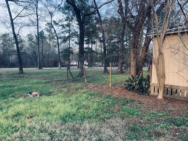 14633 Half Circle Splendora, TX 77372 - Photo 6 of 10