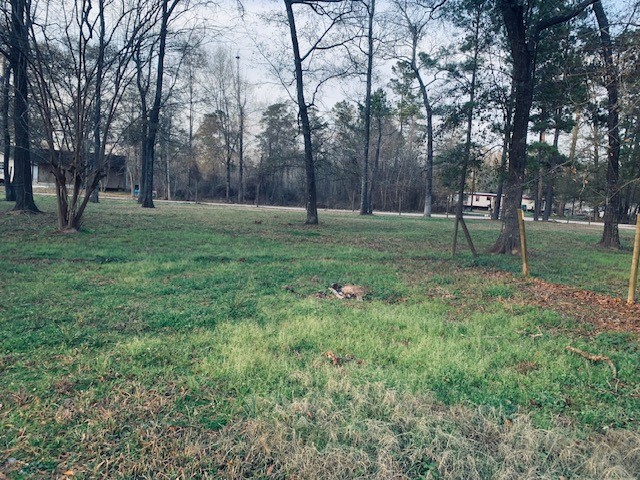 14633 Half Circle Splendora, TX 77372 - Photo 8 of 11 a view of a backyard with large trees