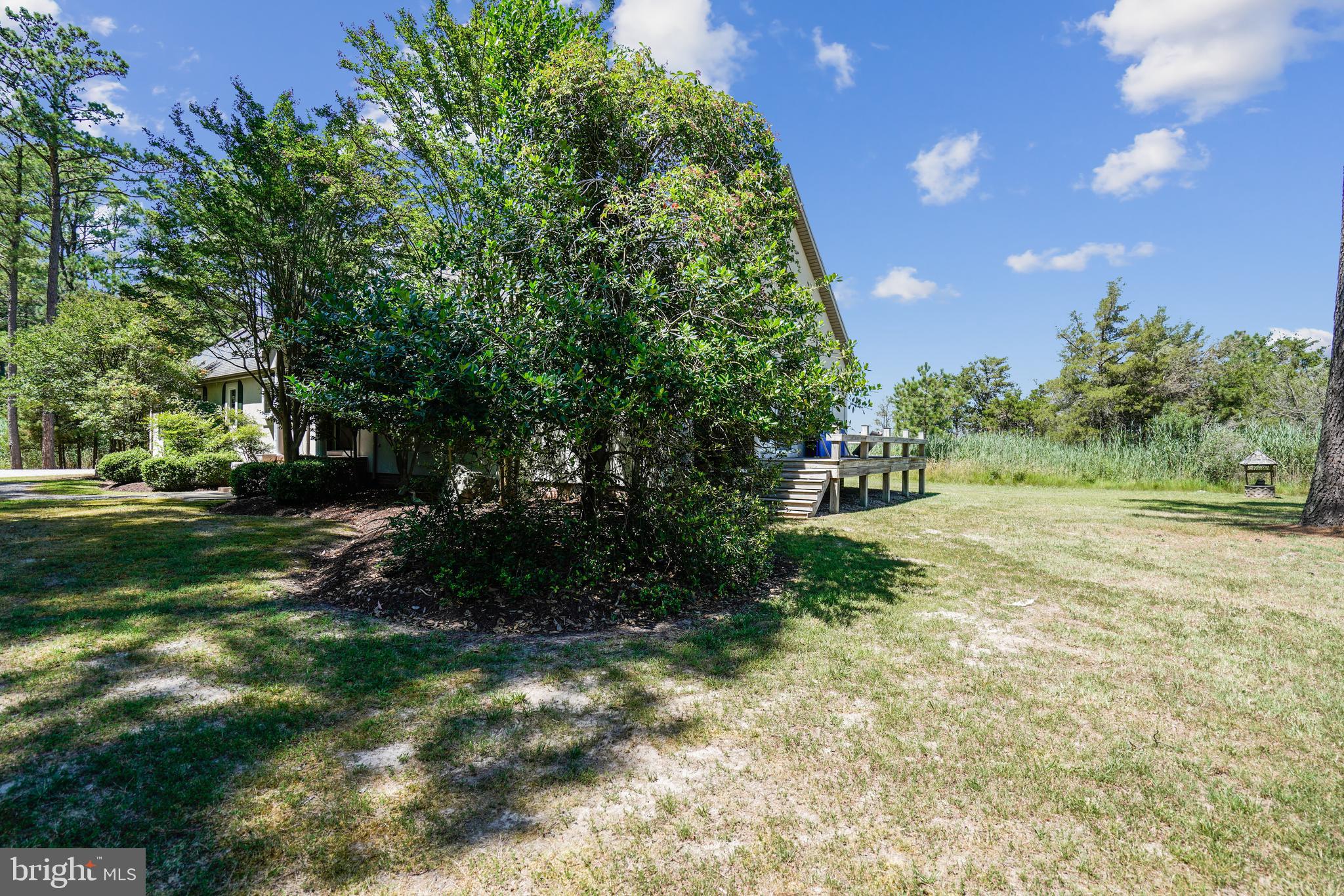 5035 Brooks Road Woolford, MD 21677 - Photo 11 of 60 Gallery Image 11