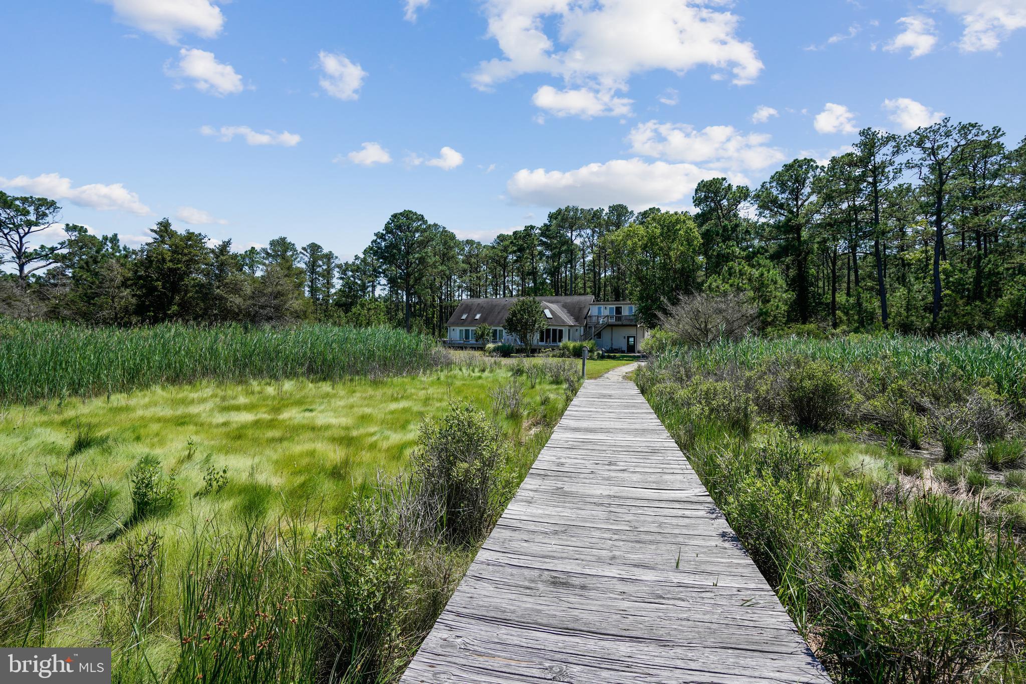 5035 Brooks Road Woolford, MD 21677 - Photo 14 of 60 Gallery Image 14