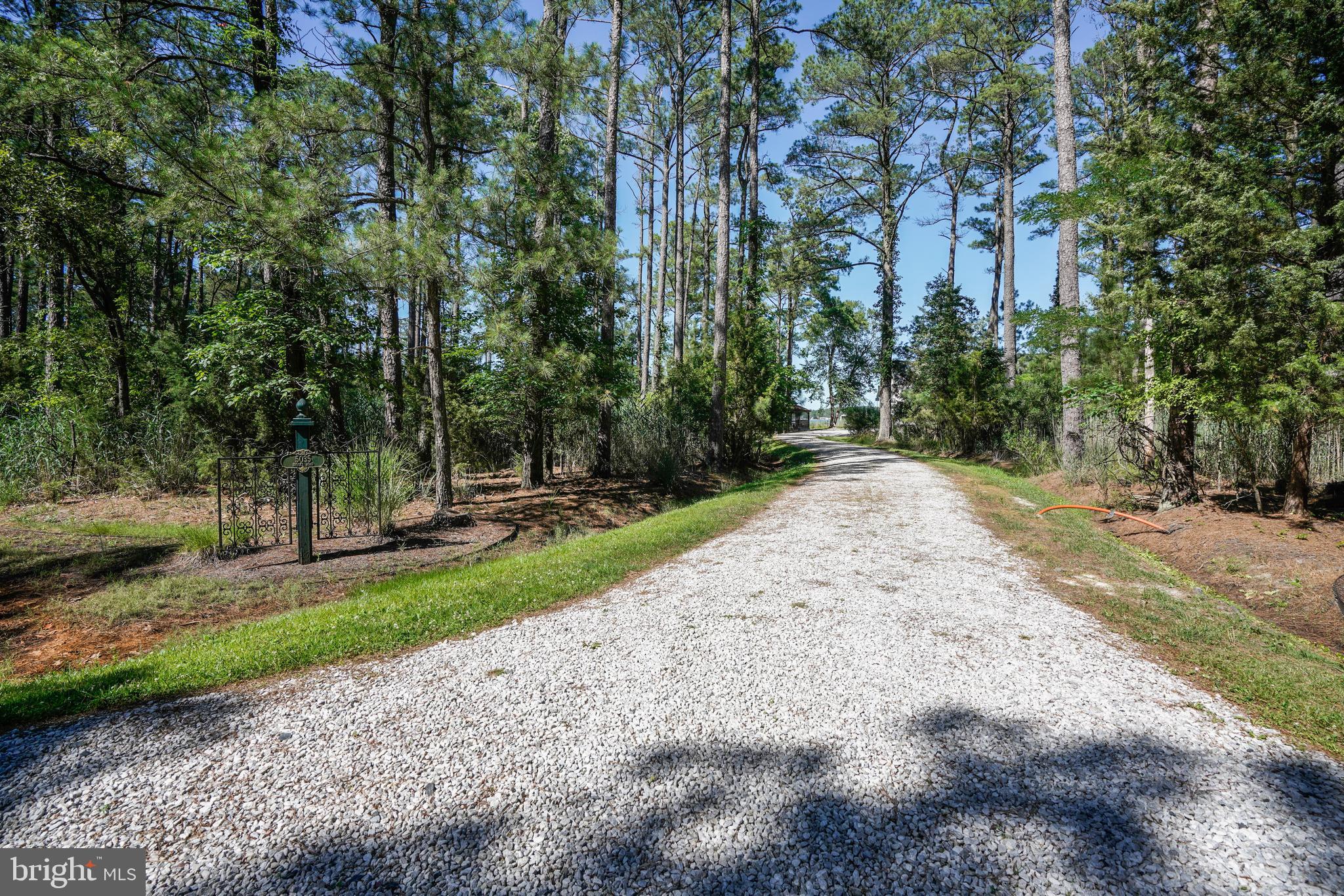 5035 Brooks Road Woolford, MD 21677 - Photo 8 of 60 Gallery Image 8