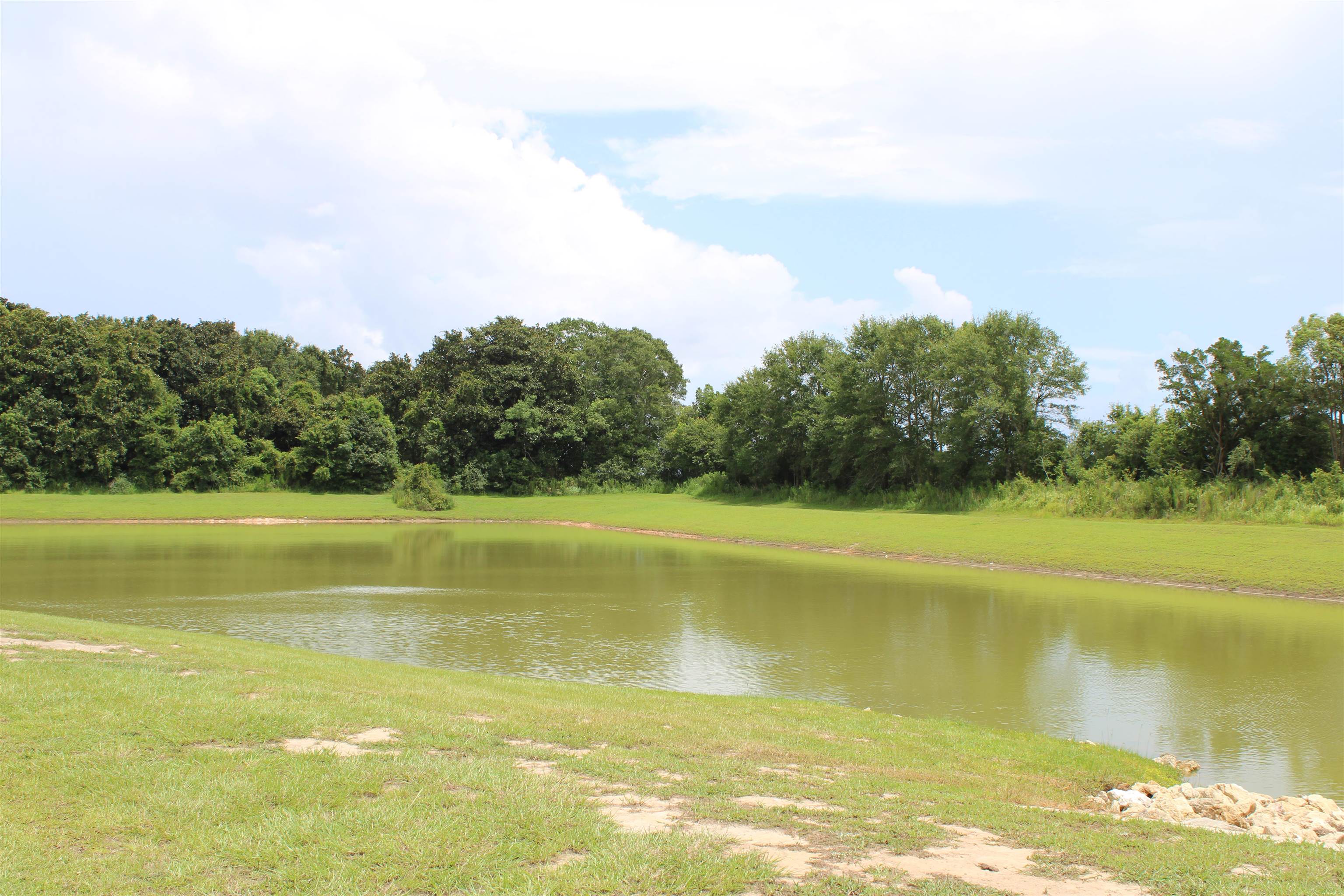 24226 Veranda Circle Elberta, AL 36530 - Photo 25 of 26