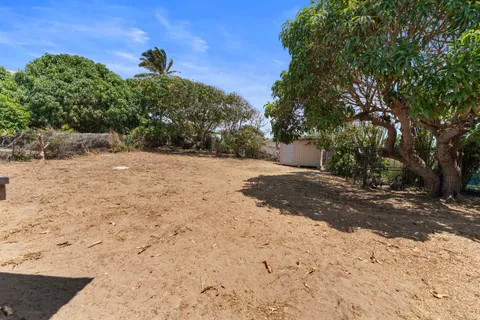a view of a yard with a tree