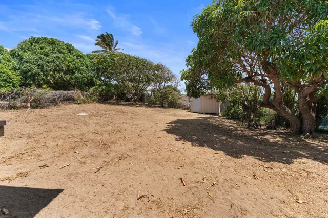 a view of a yard with a tree