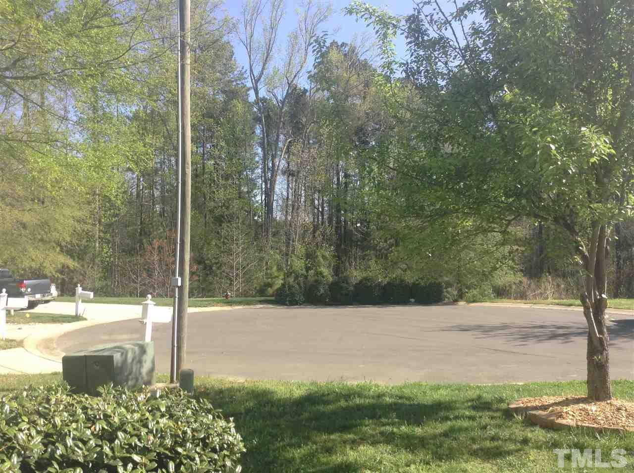 8425 Aztec Dawn Court Raleigh, NC 27613 - Photo 7 of 8 a view of a yard