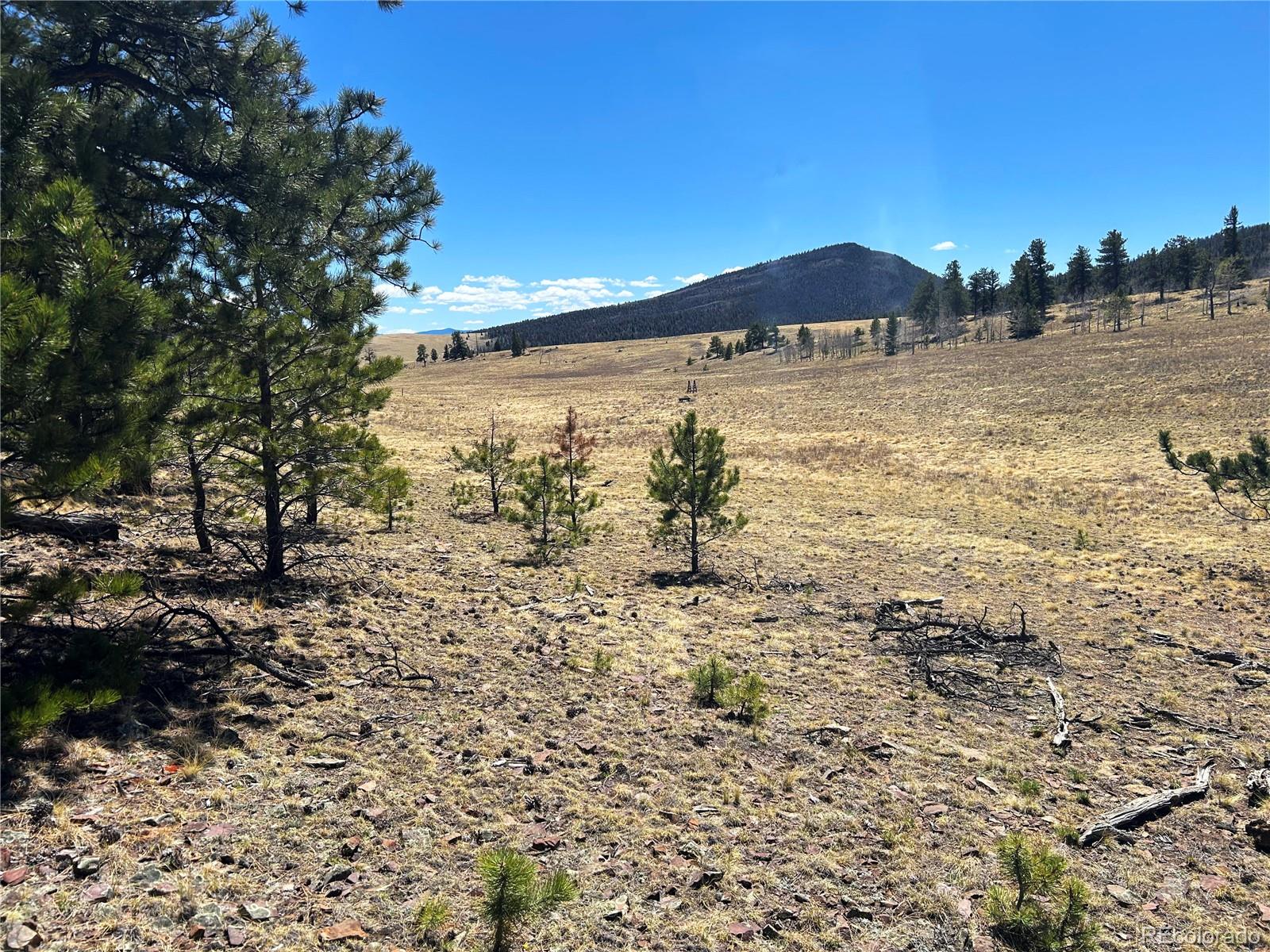 Singletree Road Hartsel, CO 80449 - Photo 8 of 12 Gallery Image 8