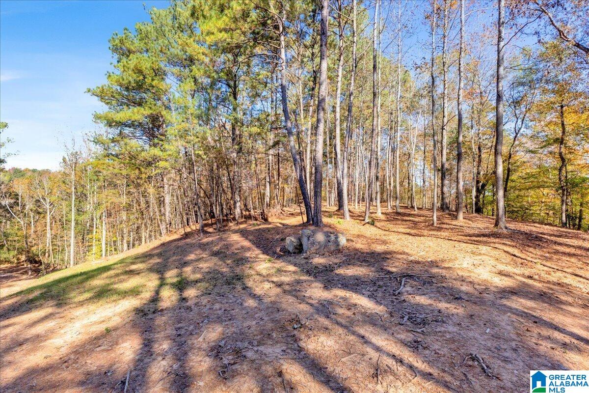 0 Hammock Road Trussville, AL 35173 - Photo 11 of 31