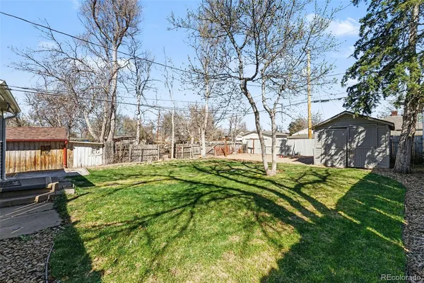 a view of a yard with a large tree