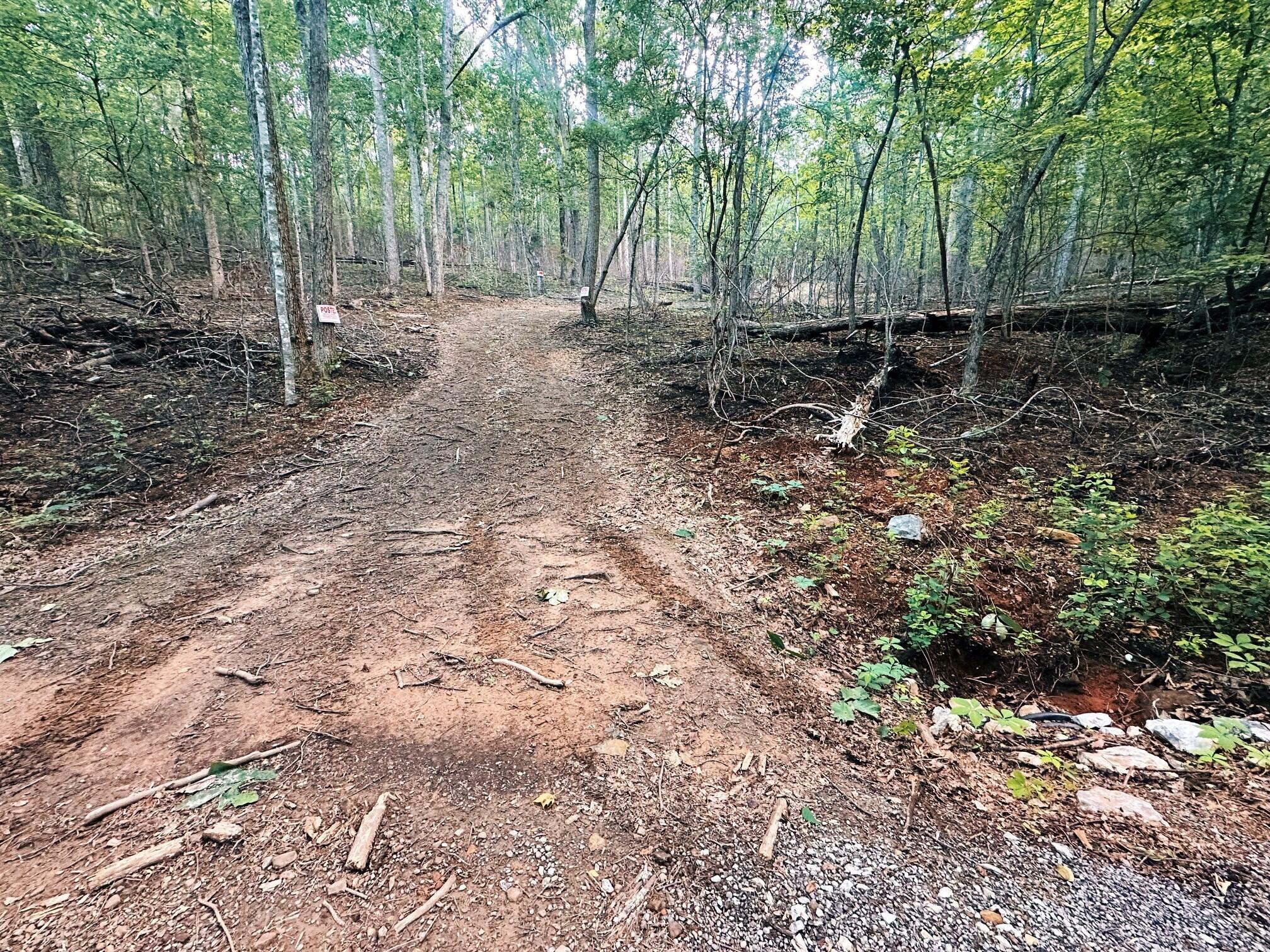 10.24-ac Taylors Ridge Road Ringgold, GA 30736 - Photo 6 of 10 drive carved in