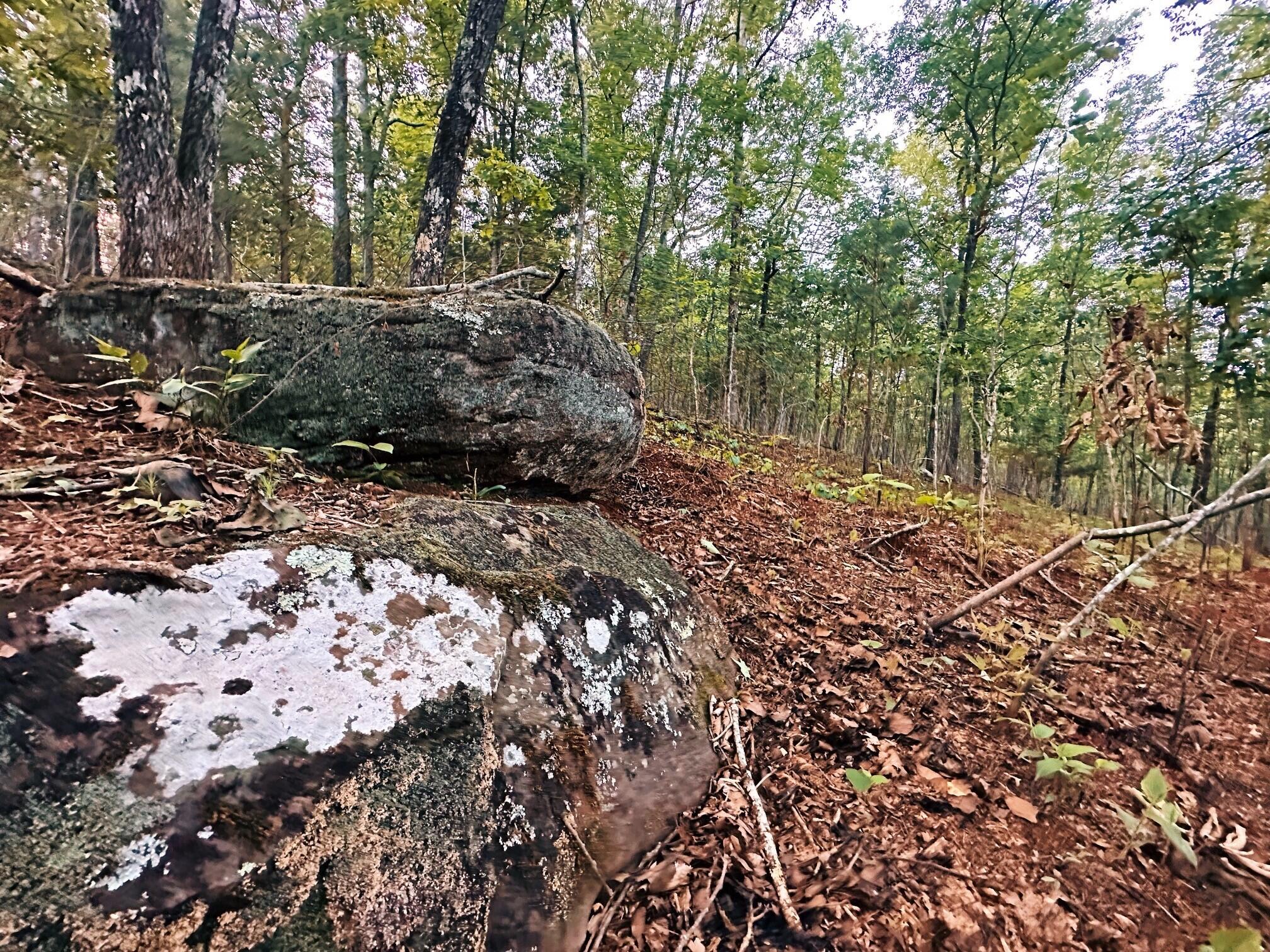 10.24-ac Taylors Ridge Road Ringgold, GA 30736 - Photo 8 of 10 rock outcroppings