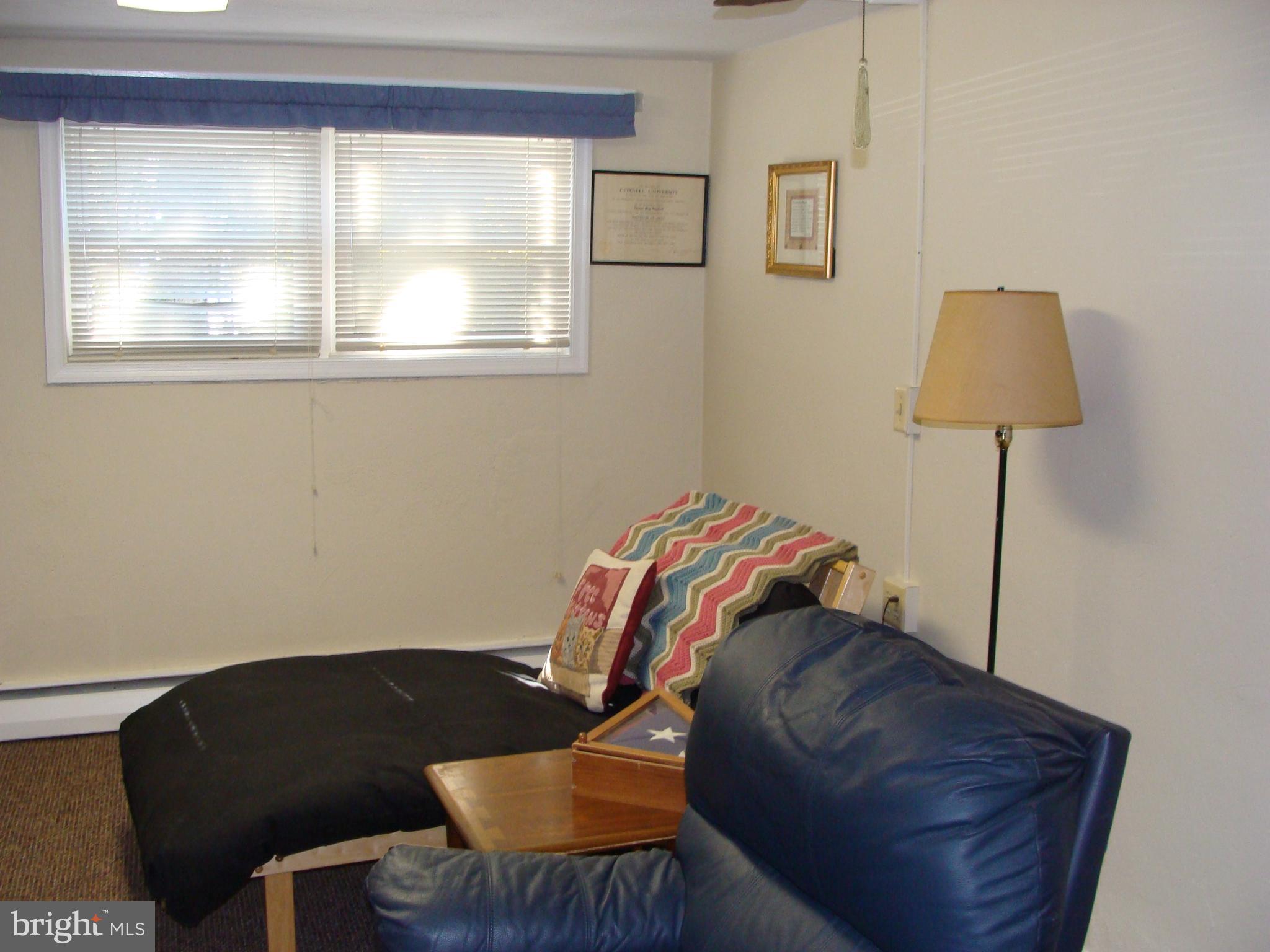 305 Landsende Road Devon, PA 19333 - Photo 24 of 45 Lower level room
