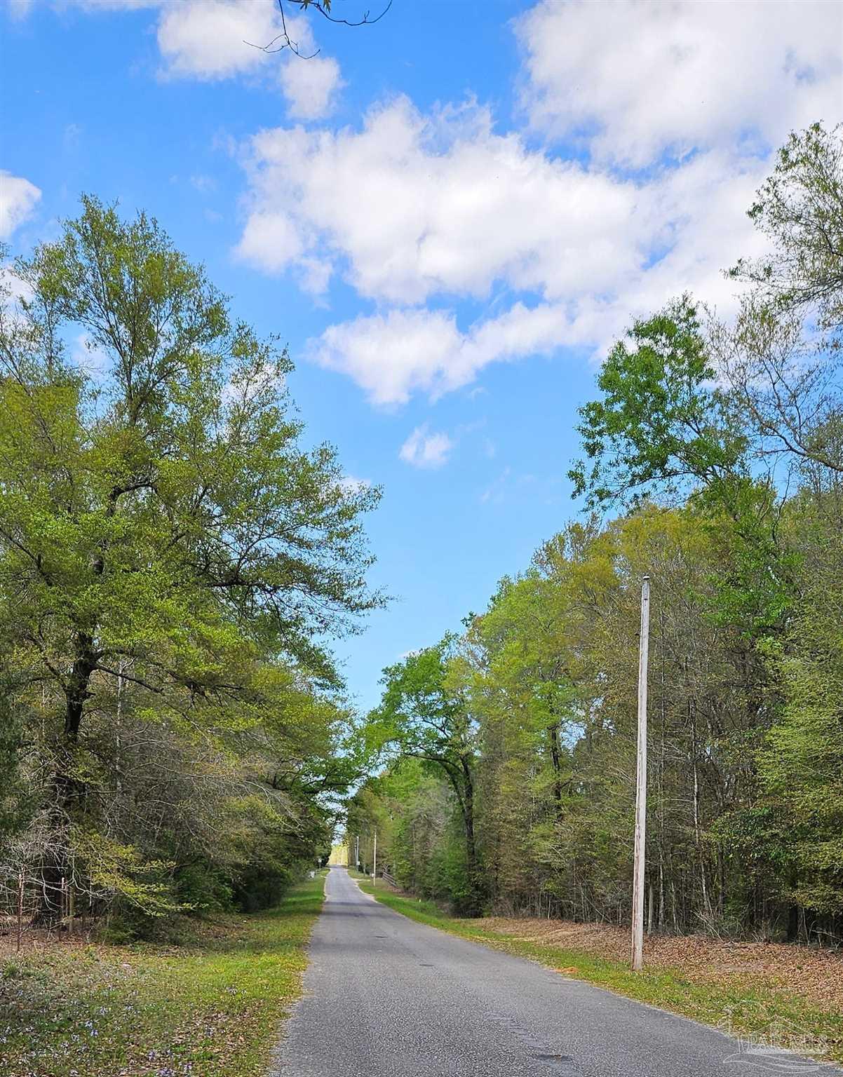 Pleasant Grove Road Milton, FL 32570 - Photo 2 of 5