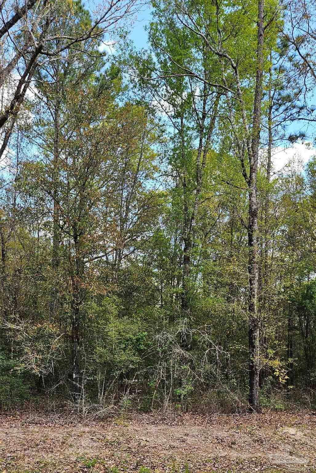 Pleasant Grove Road Milton, FL 32570 - Photo 3 of 5