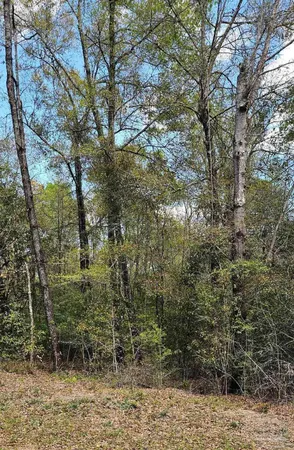 $100,000 | Pleasant Grove Road, Milton, FL 32570