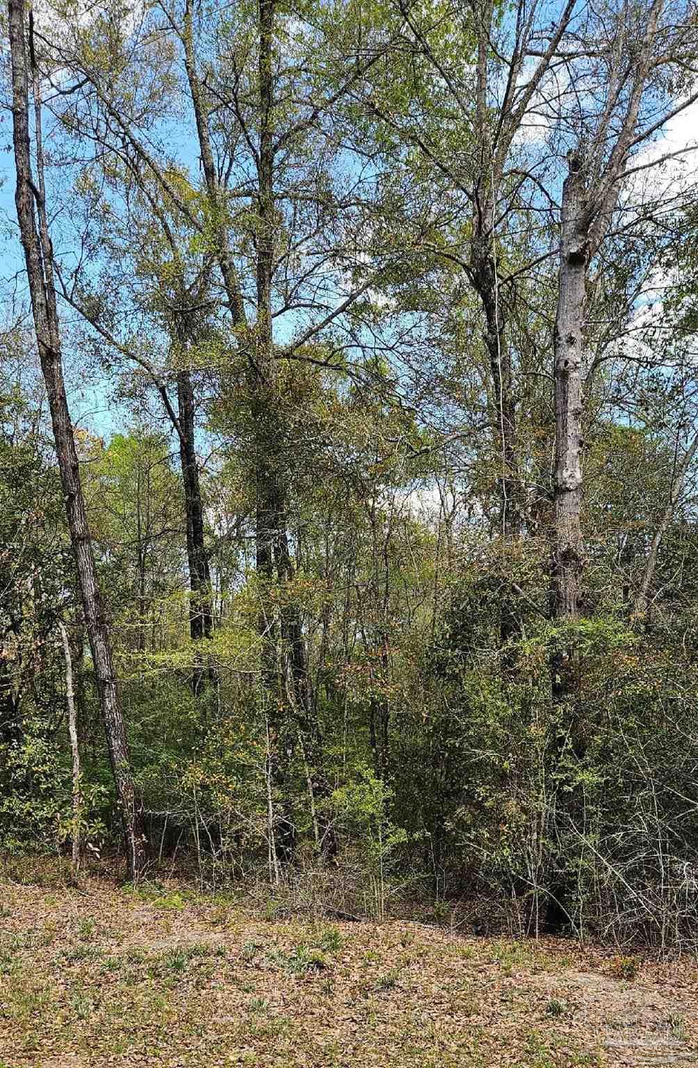 Pleasant Grove Road Milton, FL 32570 - Photo 4 of 5