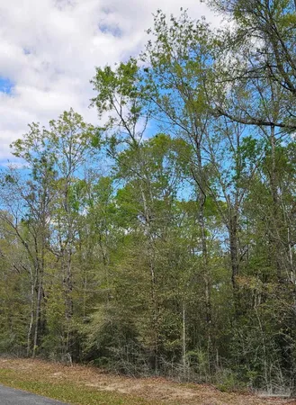 $100,000 | Pleasant Grove Road, Milton, FL 32570