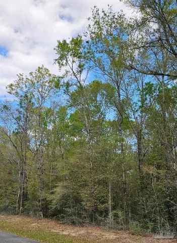 $100,000 | Pleasant Grove Road, Milton, FL 32570