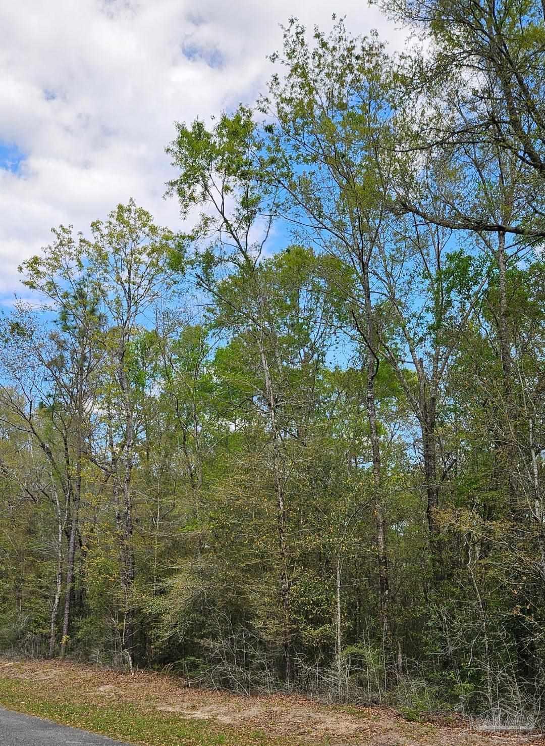 Pleasant Grove Road Milton, FL 32570 - Photo 5 of 5