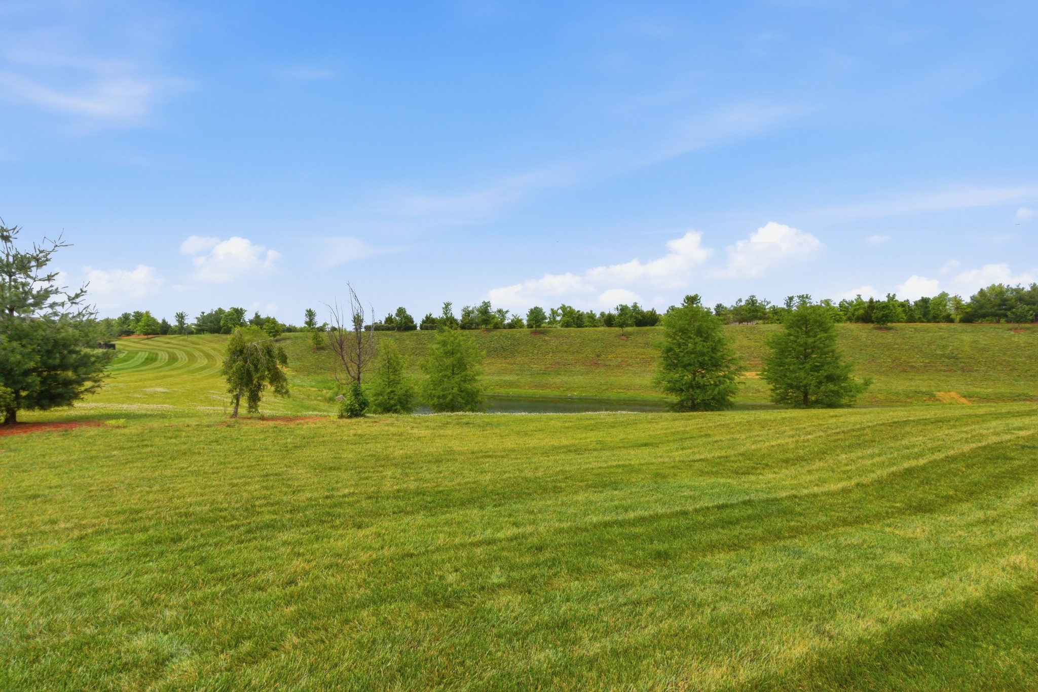 2321 Lawrence Ridge Spring Hill, TN 37174 - Photo 39 of 59 a view of an ocean from a city