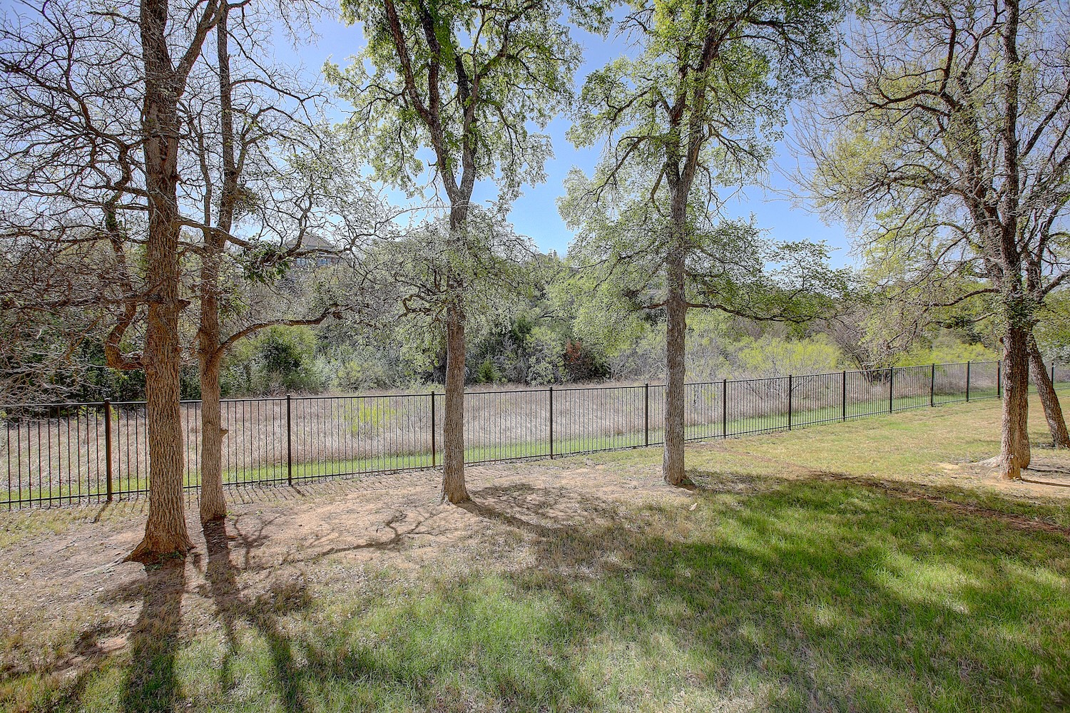 129 Hollytree Court Georgetown, TX 78628 - Photo 8 of 40 a view of a park with tree s