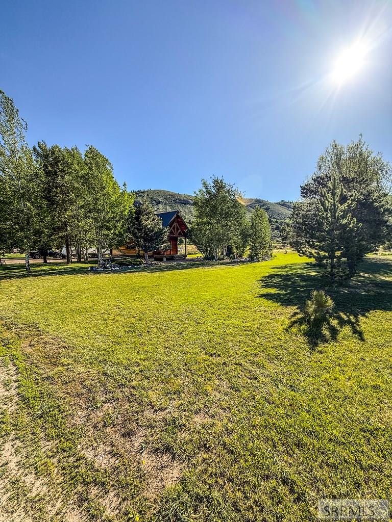 38 Rattlesnake Road Irwin, ID 83428 - Photo 26 of 27 front of cabin
