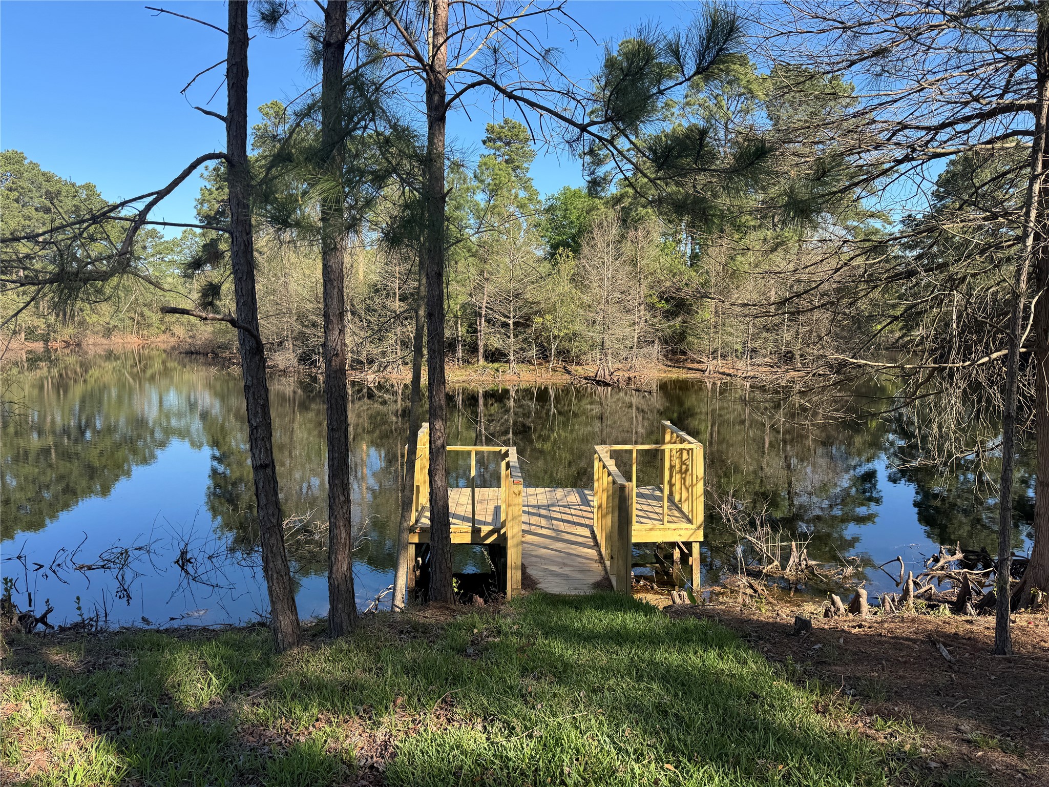 18234 Atkinson Lane Conroe, TX 77384 - Photo 1 of 30 a view of a garden
