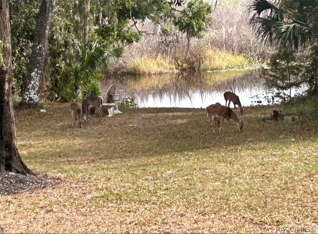 4185 South Spaniel Trail Inverness, FL 34450 - Photo 3 of 27