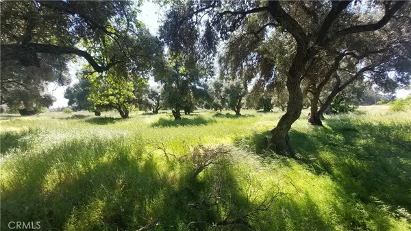 $545,000 | 2915 South 99 W Highway, Corning, CA 96021