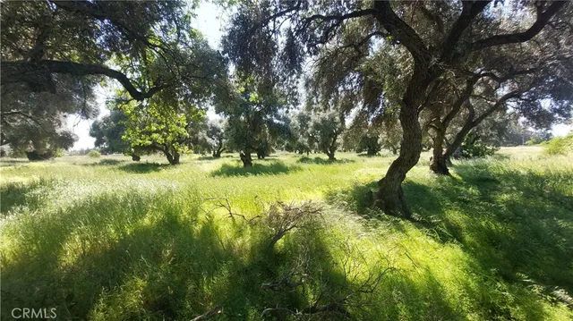 $545,000 | 2915 South 99 W Highway, Corning, CA 96021