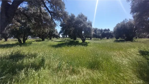 $545,000 | 2915 South 99 W Highway, Corning, CA 96021