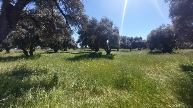 $545,000 | 2915 South 99 W Highway, Corning, CA 96021