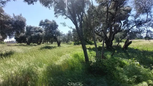 $545,000 | 2915 South 99 W Highway, Corning, CA 96021