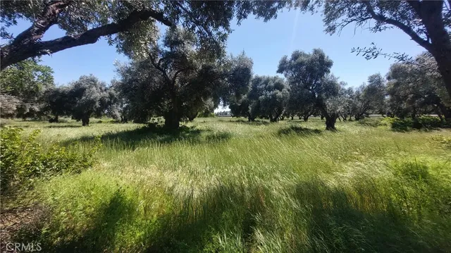 $545,000 | 2915 South 99 W Highway, Corning, CA 96021