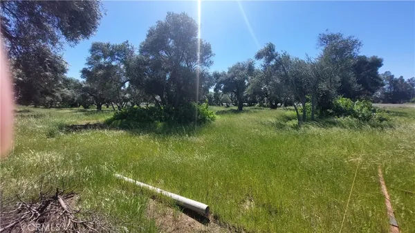 $545,000 | 2915 South 99 W Highway, Corning, CA 96021