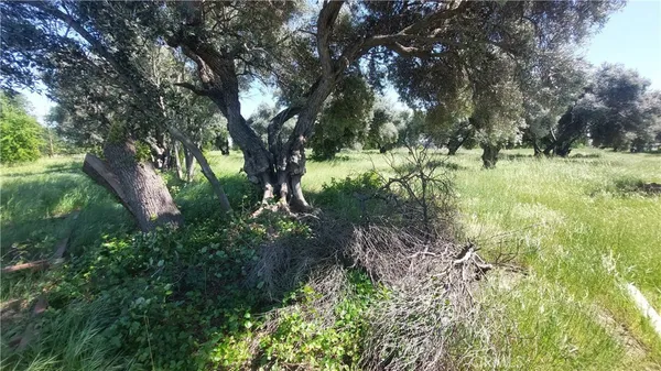 $545,000 | 2915 South 99 W Highway, Corning, CA 96021