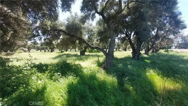 $545,000 | 2915 South 99 W Highway, Corning, CA 96021