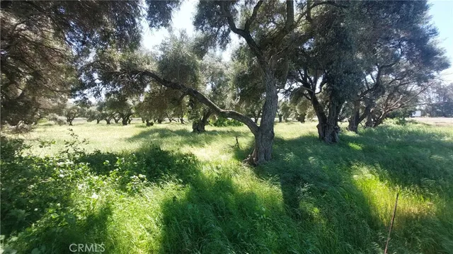 $545,000 | 2915 South 99 W Highway, Corning, CA 96021