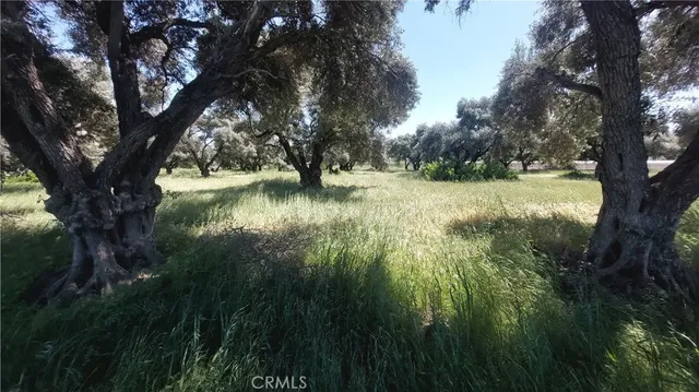 $545,000 | 2915 South 99 W Highway, Corning, CA 96021