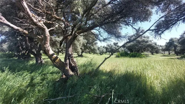 $545,000 | 2915 South 99 W Highway, Corning, CA 96021
